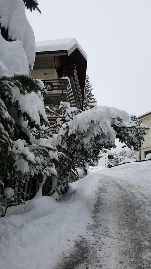 The Closest Location To The City Center And Chairlift Oulx المظهر الخارجي الصورة